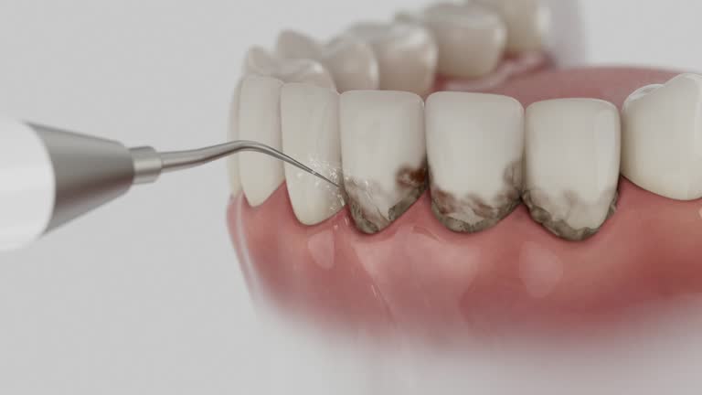 Reliable Dental contractor in Mount Rainier, MD by Dentist Open Now